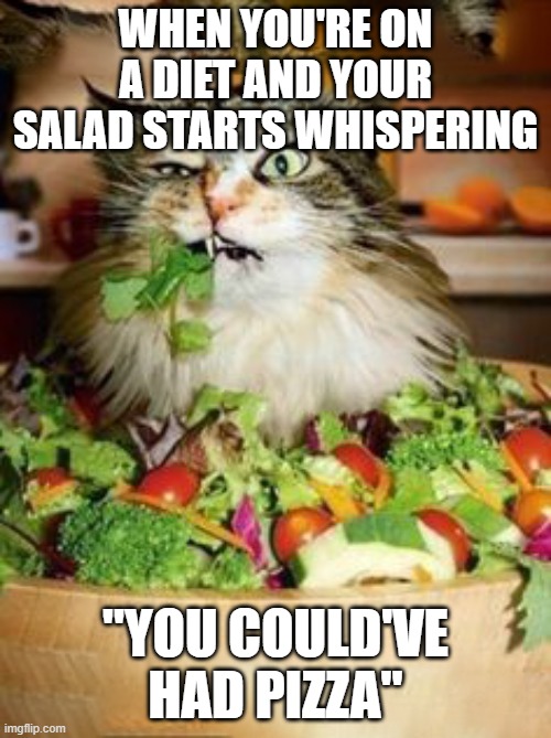 salad-cat | WHEN YOU'RE ON A DIET AND YOUR SALAD STARTS WHISPERING; "YOU COULD'VE HAD PIZZA" | image tagged in salad-cat,funny animals,funny,funny meme | made w/ Imgflip meme maker