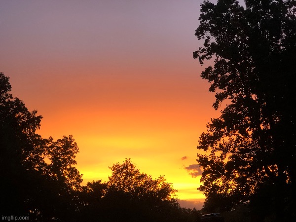 Sunset over the trees | image tagged in sunset,pretty,trees,sky | made w/ Imgflip meme maker