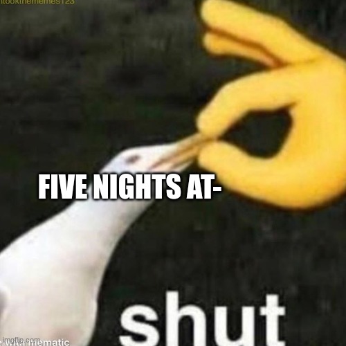 Shut Gull | FIVE NIGHTS AT- | image tagged in shut gull | made w/ Imgflip meme maker