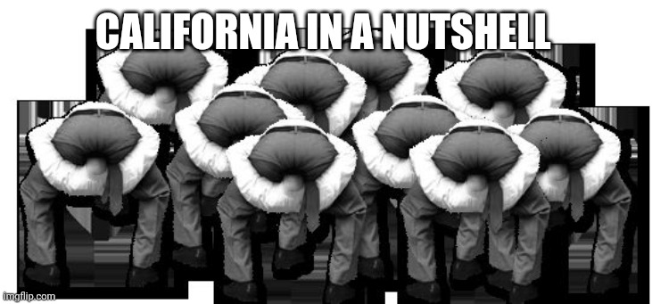No Title Needed | CALIFORNIA IN A NUTSHELL | image tagged in head up ass | made w/ Imgflip meme maker