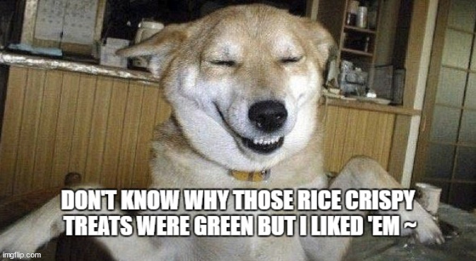 image tagged in pot,weed,marijuana,dogs | made w/ Imgflip meme maker