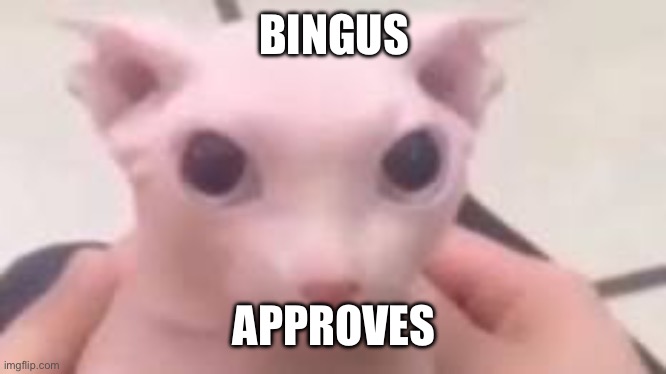 Bingus | BINGUS APPROVES | image tagged in bingus | made w/ Imgflip meme maker