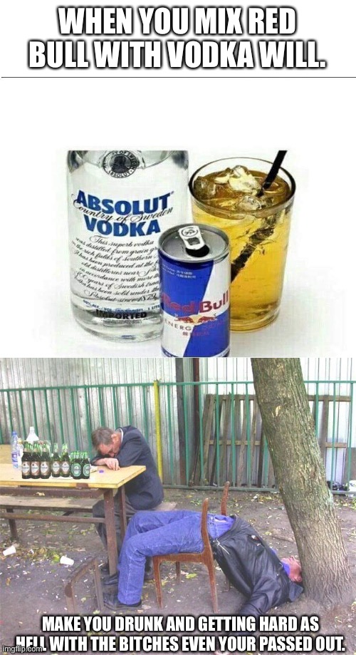 Red bull and vodka | WHEN YOU MIX RED BULL WITH VODKA WILL. MAKE YOU DRUNK AND GETTING HARD AS HELL WITH THE BITCHES EVEN YOUR PASSED OUT. | image tagged in drunk russian | made w/ Imgflip meme maker