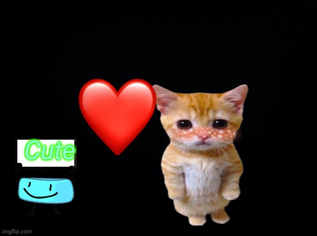 El gato | Cute | image tagged in black background | made w/ Imgflip meme maker