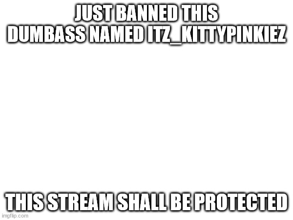 I just dealt with this clown | JUST BANNED THIS DUMBASS NAMED ITZ_KITTYPINKIEZ; THIS STREAM SHALL BE PROTECTED | image tagged in banned,lol | made w/ Imgflip meme maker