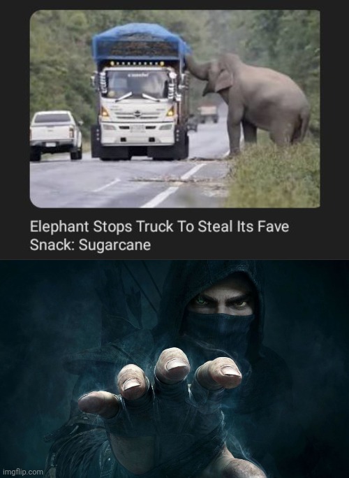 Sugarcane | image tagged in thief,elephant,sugarcane,memes,truck,snack | made w/ Imgflip meme maker