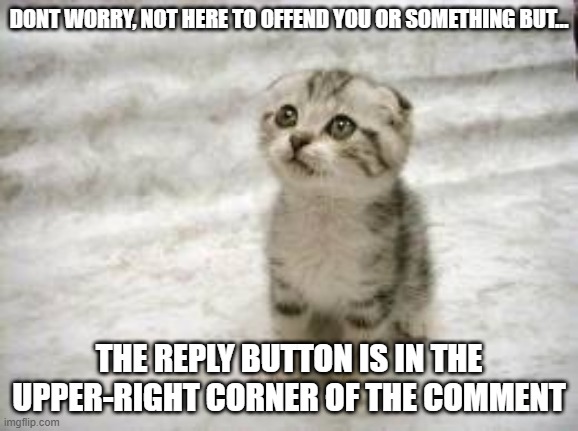 Sad Cat Meme | DONT WORRY, NOT HERE TO OFFEND YOU OR SOMETHING BUT... THE REPLY BUTTON IS IN THE UPPER-RIGHT CORNER OF THE COMMENT | image tagged in memes,sad cat | made w/ Imgflip meme maker