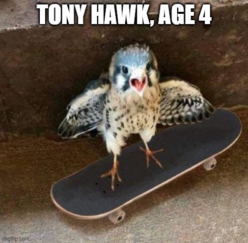 They Start So Young | TONY HAWK, AGE 4 | image tagged in skateboarding | made w/ Imgflip meme maker