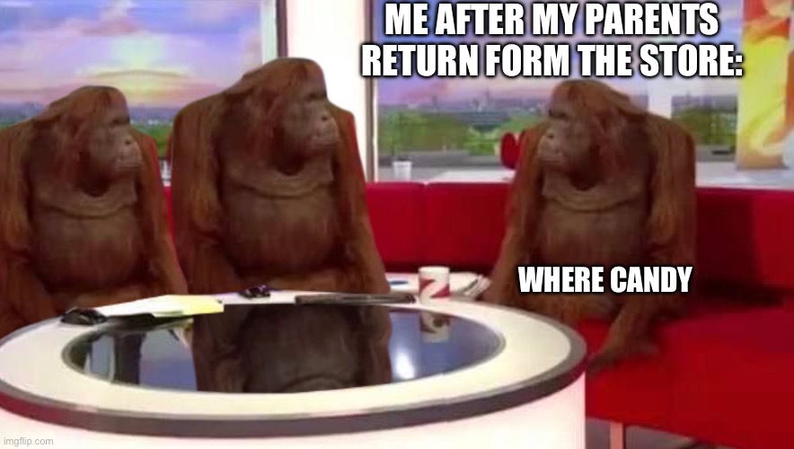 where monkey | ME AFTER MY PARENTS RETURN FORM THE STORE:; WHERE CANDY | image tagged in where monkey | made w/ Imgflip meme maker