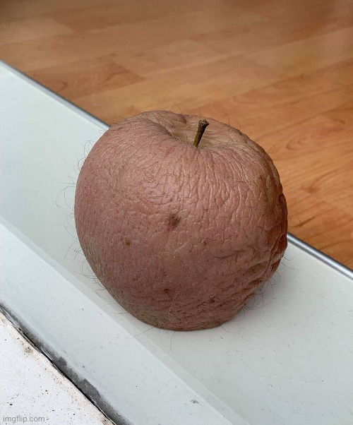 #3,075 | image tagged in cursed image,cursed,apple,old,brown,hairy | made w/ Imgflip meme maker