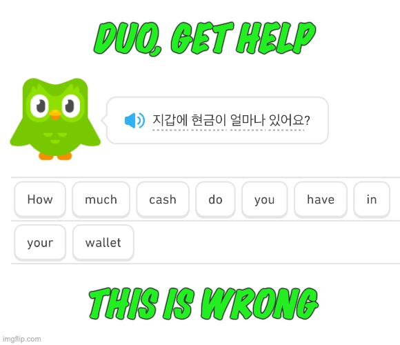 Continuing the adventure with the owl | DUO, GET HELP; THIS IS WRONG | image tagged in duolingo,language,learning,app,crime | made w/ Imgflip meme maker