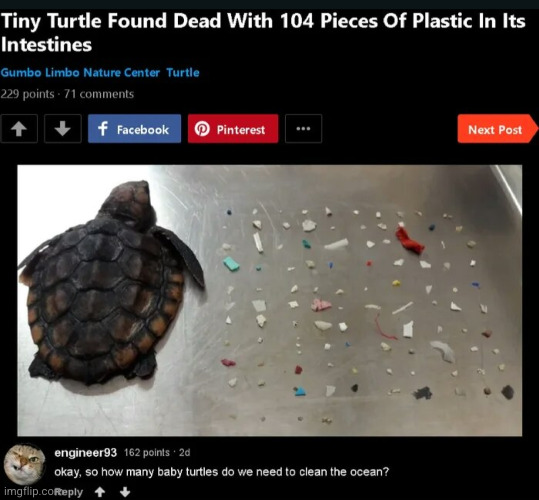#3,056 | image tagged in comments,cursed,ocean,litter,turtles,cleaning | made w/ Imgflip meme maker