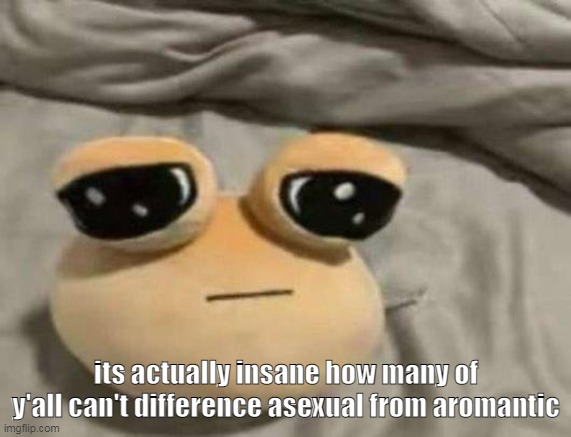 first one is "virginity is cool remain pure" the other is "i never needed bitches" its not that h a r d | its actually insane how many of y'all can't difference asexual from aromantic | image tagged in pou | made w/ Imgflip meme maker