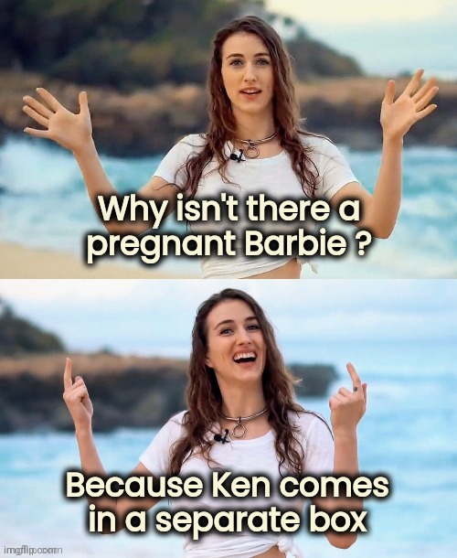 Besides the obvious | Why isn't there a
pregnant Barbie ? Because Ken comes
in a separate box | image tagged in beach joke,barbie week,ken,seggs,well yes but actually no | made w/ Imgflip meme maker