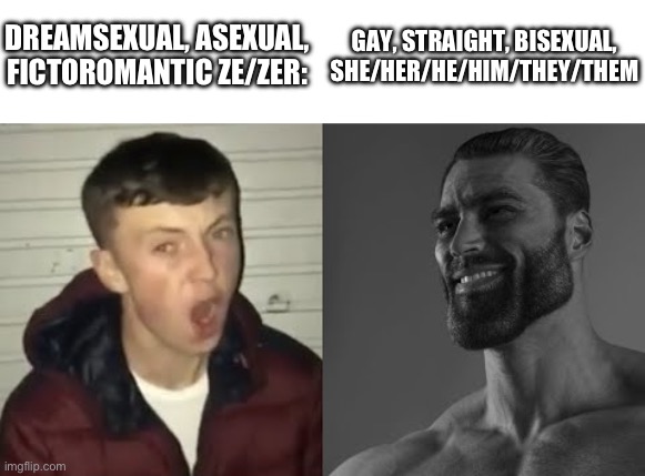 Average Enjoyer meme | DREAMSEXUAL, ASEXUAL, FICTOROMANTIC ZE/ZER:; GAY, STRAIGHT, BISEXUAL, SHE/HER/HE/HIM/THEY/THEM | image tagged in average enjoyer meme | made w/ Imgflip meme maker