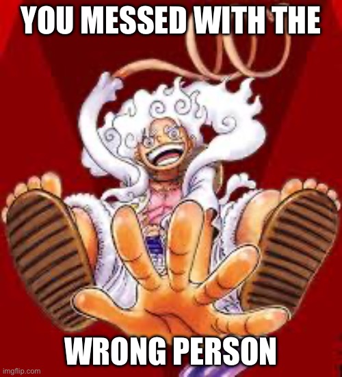 Gear 5 | YOU MESSED WITH THE; WRONG PERSON | image tagged in gear 5 | made w/ Imgflip meme maker