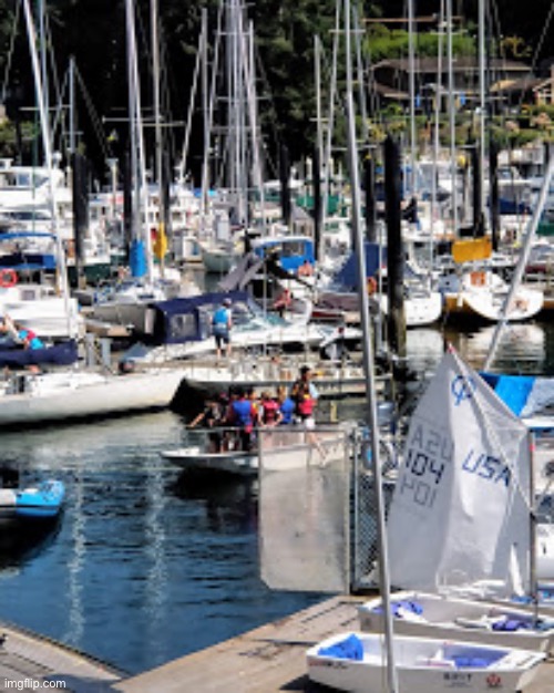 Me. Wilkinson’s Fave Yacht Club | image tagged in me wilkinson s fave yacht club | made w/ Imgflip meme maker