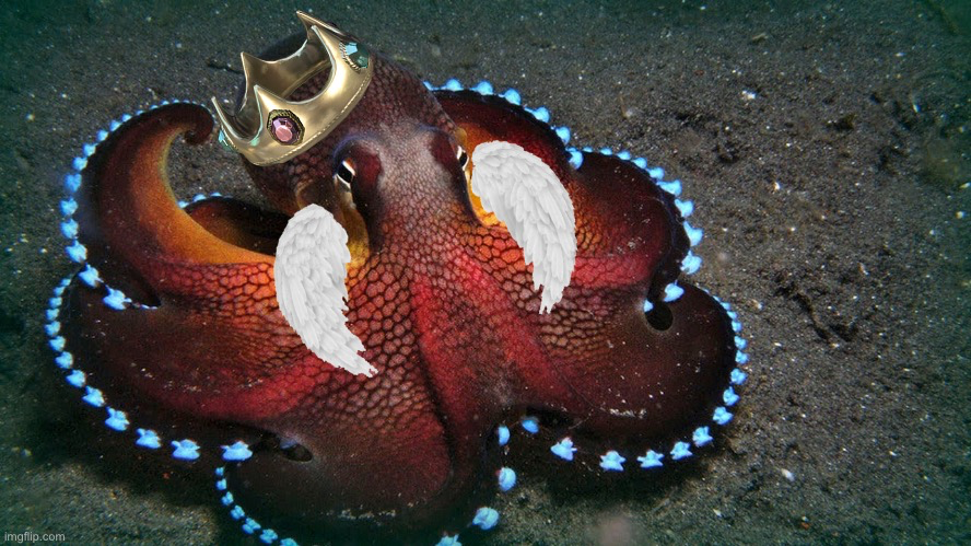 Pearlfan RTX on Blank Meme Template