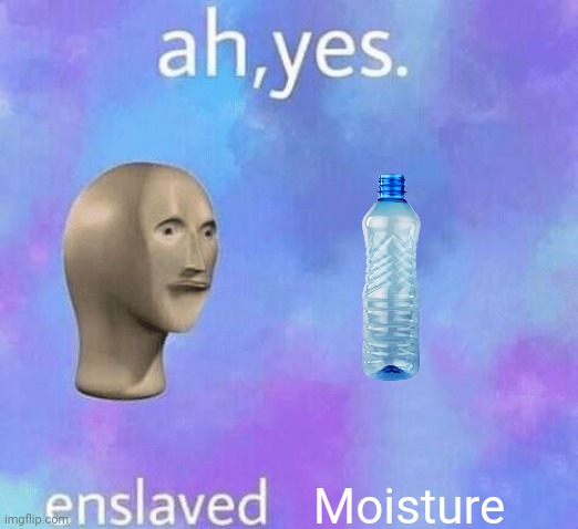 Ah Yes enslaved | Moisture | image tagged in ah yes enslaved | made w/ Imgflip meme maker