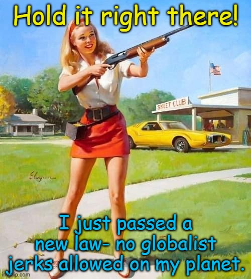 I'd like to teach the world to sing.... | Hold it right there! I just passed a new law- no globalist jerks allowed on my planet. | image tagged in skeet club | made w/ Imgflip meme maker