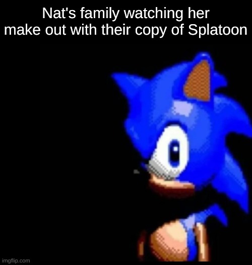 splatoon simp | Nat's family watching her make out with their copy of Splatoon | image tagged in sonic stares | made w/ Imgflip meme maker