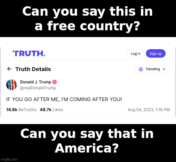 Can You Say This In a Free Country? | image tagged in donald trump,truth social,free country,america | made w/ Imgflip meme maker