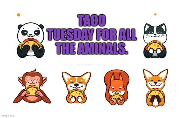 Taco Tuesday | TACO TUESDAY FOR ALL THE AMINALS. | image tagged in taco tuesday,aminals | made w/ Imgflip meme maker