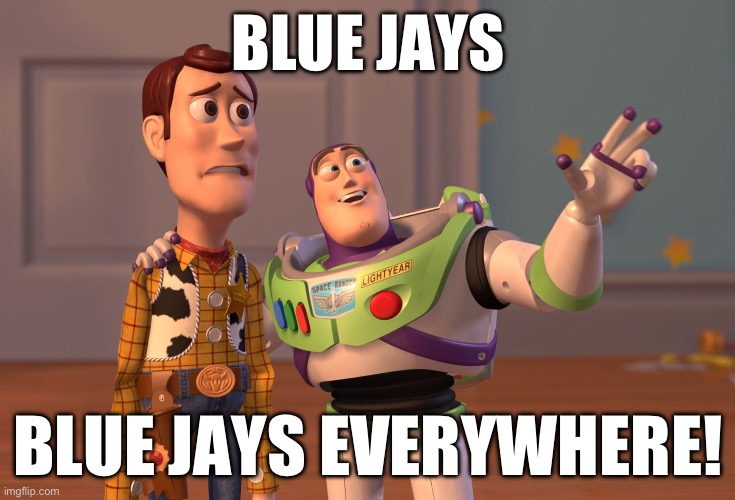 Remade because I tagged it as NSFW by accident | BLUE JAYS; BLUE JAYS EVERYWHERE! | image tagged in memes,x x everywhere,blue jays,random | made w/ Imgflip meme maker