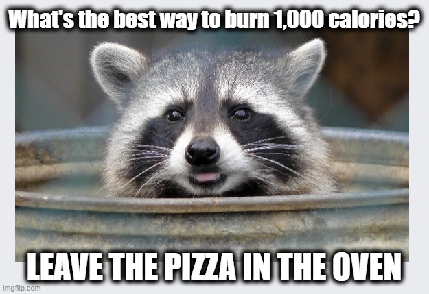 Groaner Alert | What's the best way to burn 1,000 calories? LEAVE THE PIZZA IN THE OVEN | image tagged in raccoon,raccoon meme,pizza,fitness | made w/ Imgflip meme maker