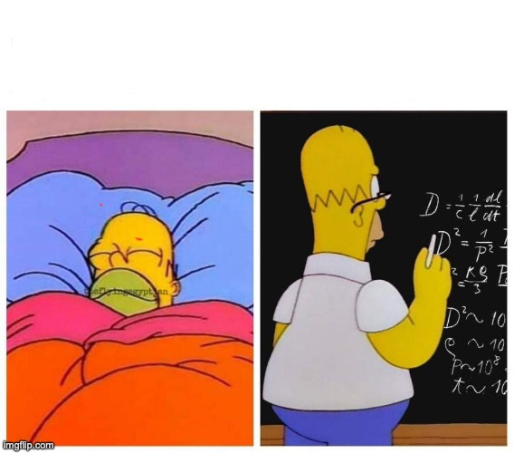 Homer sleep or learn Blank Meme Template