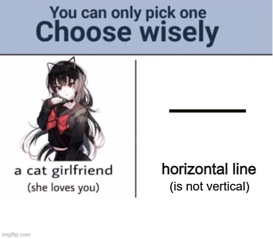 a | horizontal line; (is not vertical) | image tagged in choose wisely | made w/ Imgflip meme maker