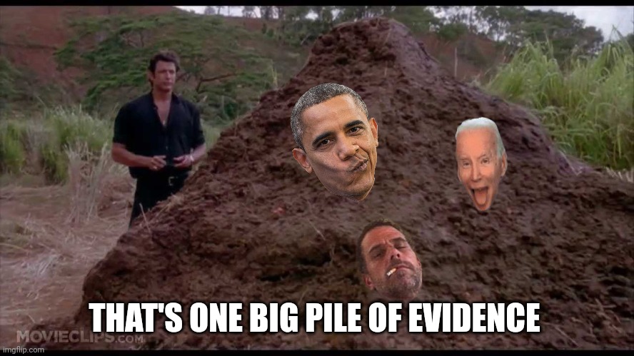 That is one big pile of shit | THAT'S ONE BIG PILE OF EVIDENCE | image tagged in that is one big pile of shit | made w/ Imgflip meme maker