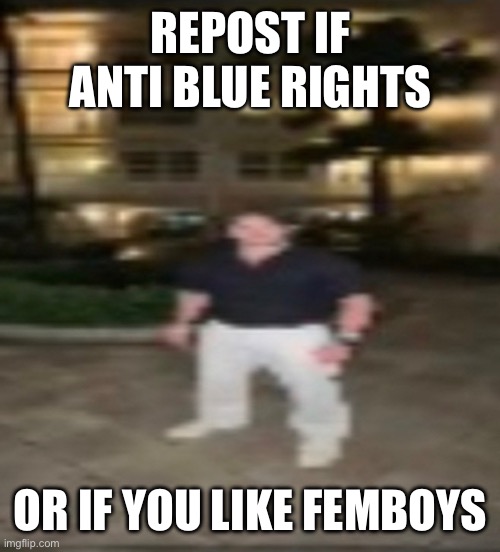 REPOST IF ANTI BLUE RIGHTS; OR IF YOU LIKE FEMBOYS | made w/ Imgflip meme maker