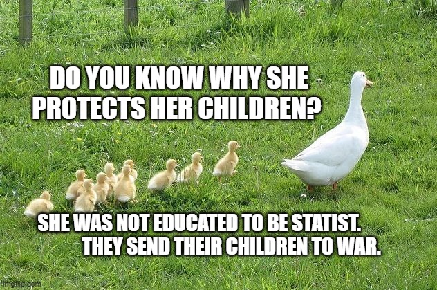 Ducklings | DO YOU KNOW WHY SHE PROTECTS HER CHILDREN? SHE WAS NOT EDUCATED TO BE STATIST.                   THEY SEND THEIR CHILDREN TO WAR. | image tagged in ducklings | made w/ Imgflip meme maker