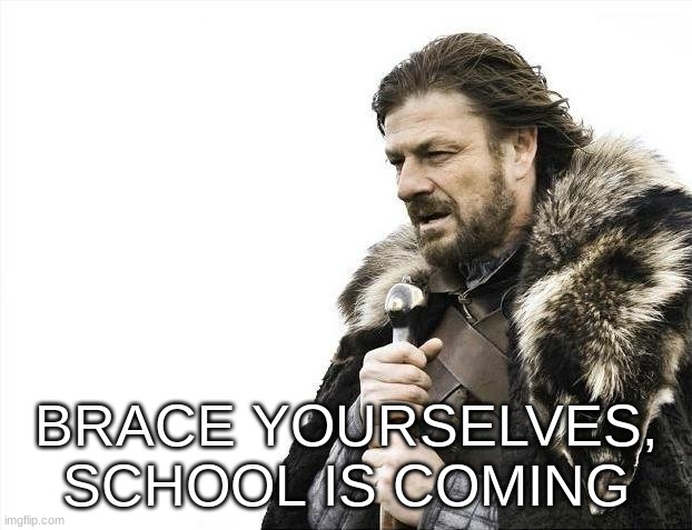 Brace Yourselves X is Coming | BRACE YOURSELVES, SCHOOL IS COMING | image tagged in memes,brace yourselves x is coming | made w/ Imgflip meme maker