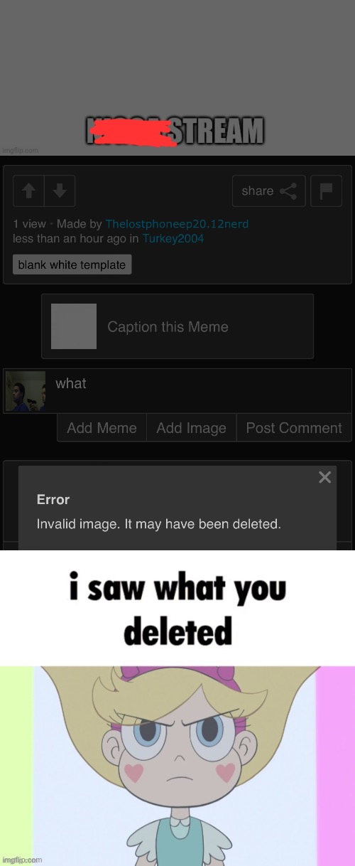 What | image tagged in i saw what you deleted star butterfly | made w/ Imgflip meme maker