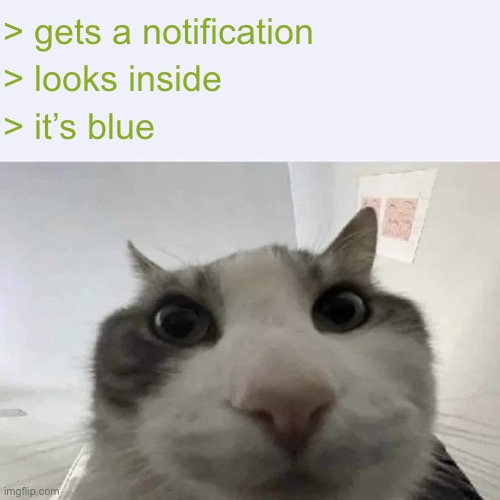 reblog if true | > gets a notification; > looks inside; > it’s blue | image tagged in green text cat | made w/ Imgflip meme maker