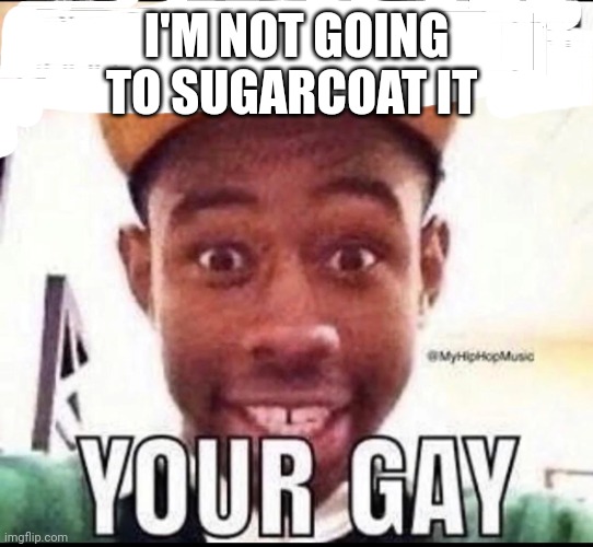 BRO WE GET IT YOU'RE GAY | I'M NOT GOING TO SUGARCOAT IT | image tagged in bro we get it you're gay | made w/ Imgflip meme maker