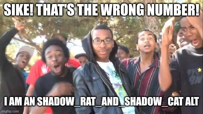 SIKE | SIKE! THAT'S THE WRONG NUMBER! I AM AN SHADOW_RAT_AND_SHADOW_CAT ALT | image tagged in sike | made w/ Imgflip meme maker