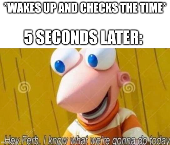 Hey Ferb | *WAKES UP AND CHECKS THE TIME* 5 SECONDS LATER: | image tagged in hey ferb | made w/ Imgflip meme maker