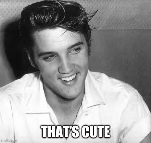 Elvis laugh | THAT’S CUTE | image tagged in elvis laugh | made w/ Imgflip meme maker