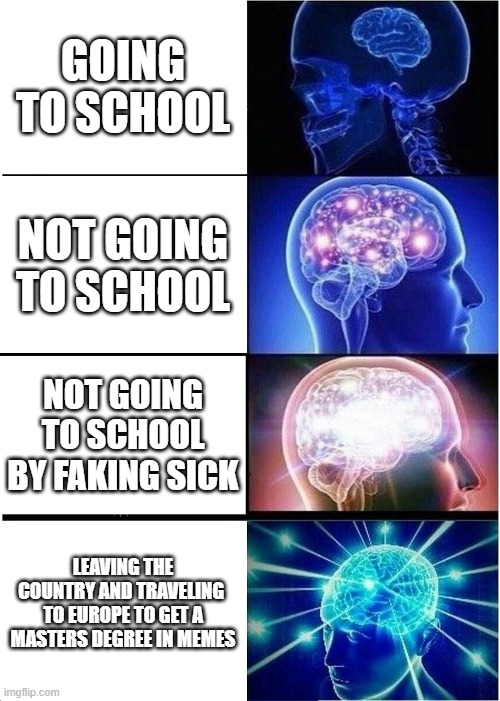 options on going to school | GOING TO SCHOOL; NOT GOING TO SCHOOL; NOT GOING TO SCHOOL BY FAKING SICK; LEAVING THE COUNTRY AND TRAVELING  TO EUROPE TO GET A MASTERS DEGREE IN MEMES | image tagged in memes,expanding brain,school,no school | made w/ Imgflip meme maker