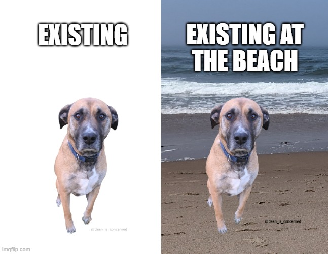 Sad Dean at the Beach | EXISTING AT
THE BEACH; EXISTING | image tagged in sad dean | made w/ Imgflip meme maker