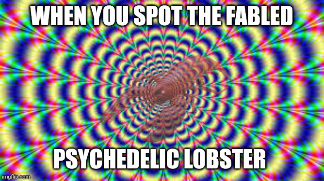 The psychedelic lobster is real | WHEN YOU SPOT THE FABLED; PSYCHEDELIC LOBSTER | image tagged in hallucination | made w/ Imgflip meme maker