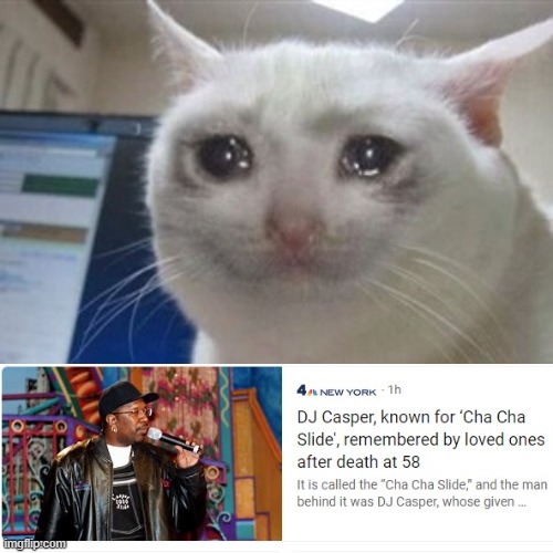 we lost another legend | image tagged in crying cat | made w/ Imgflip meme maker
