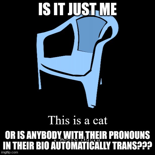 This is a cat | IS IT JUST ME; OR IS ANYBODY WITH THEIR PRONOUNS IN THEIR BIO AUTOMATICALLY TRANS??? | image tagged in this is a cat | made w/ Imgflip meme maker