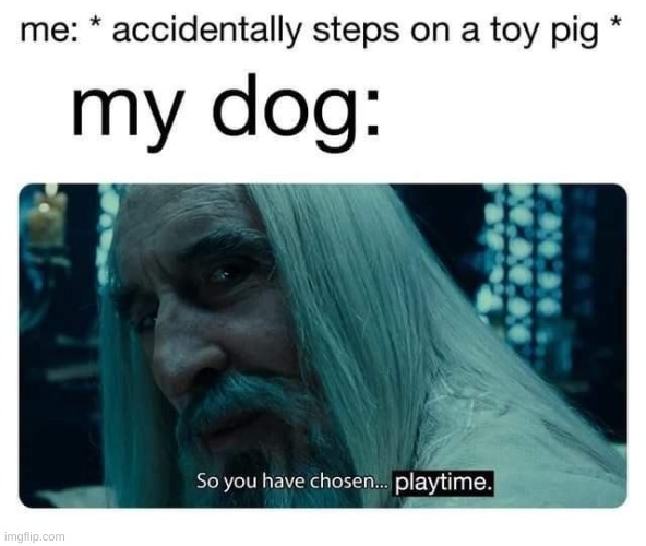 Playtime | image tagged in stay blobby | made w/ Imgflip meme maker