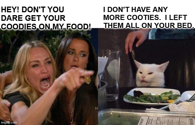 Woman Yelling At Cat | HEY! DON'T YOU DARE GET YOUR COODIES ON MY FOOD! I DON'T HAVE ANY MORE COOTIES.  I LEFT THEM ALL ON YOUR BED. | image tagged in memes,woman yelling at cat | made w/ Imgflip meme maker