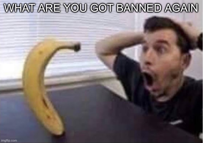 W mods | WHAT ARE YOU GOT BANNED AGAIN | image tagged in banana standing up | made w/ Imgflip meme maker