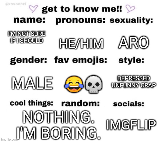 get to know me | ARO; HE/HIM; I'M NOT SURE IF I SHOULD; DEPRESSED UNFUNNY CRAP; MALE; 😂💀; NOTHING. I'M BORING. IMGFLIP | image tagged in get to know me | made w/ Imgflip meme maker